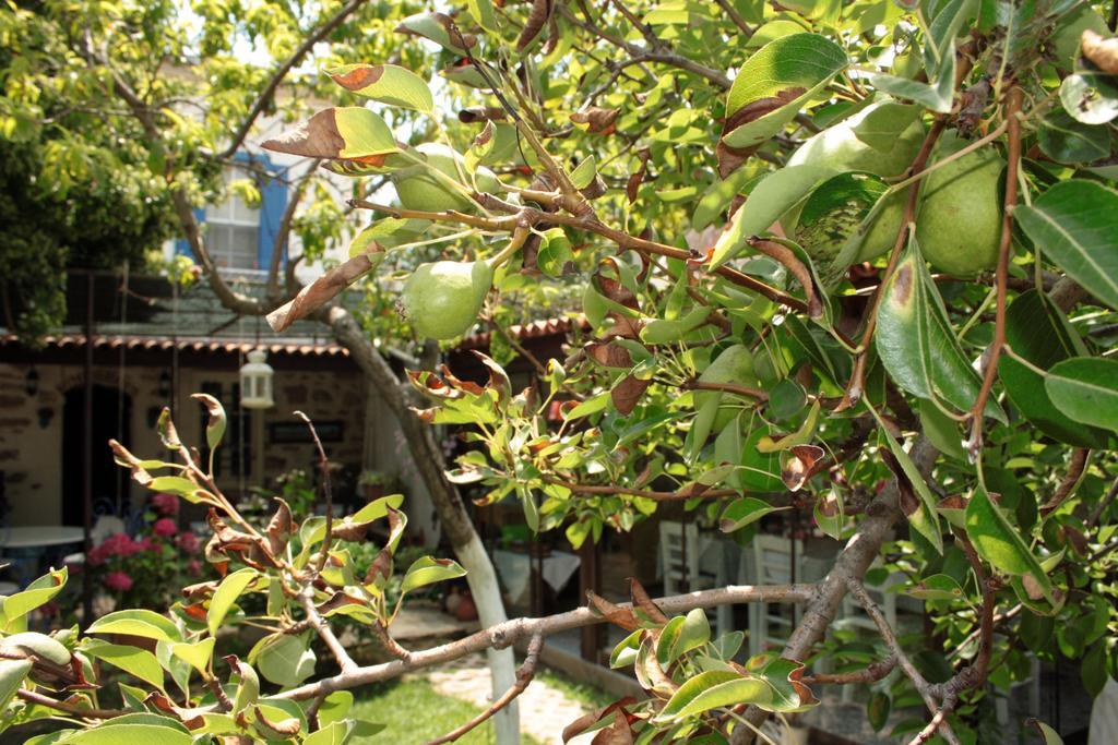 Istanbul Pension Ayvalik Exterior foto